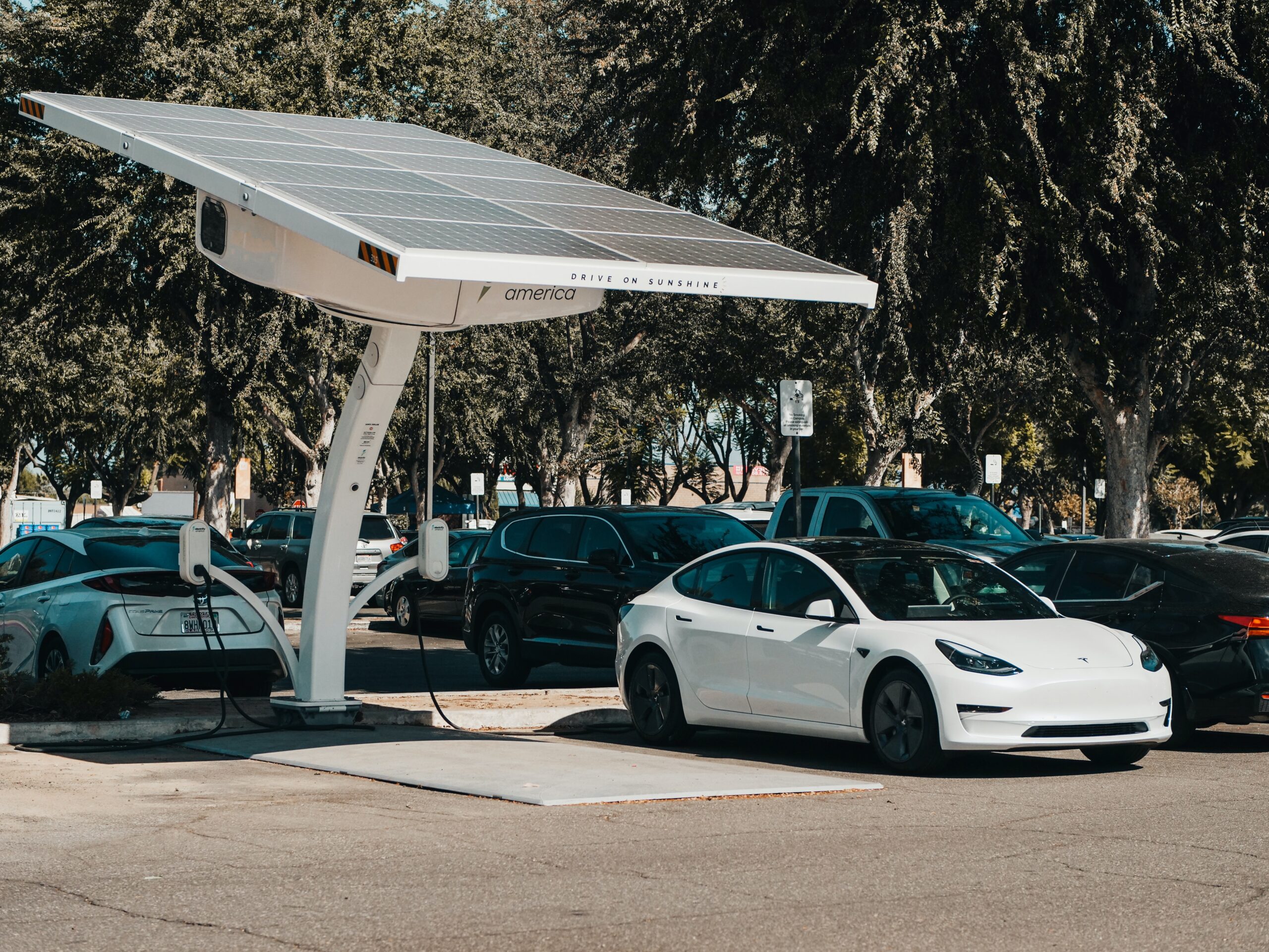 Investing in the Electric Vehicle Industry